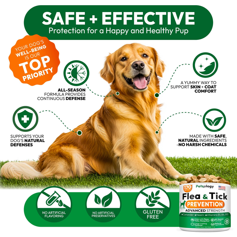 Petsology USA-made chews in bottle emphasize US safety standards and quality.