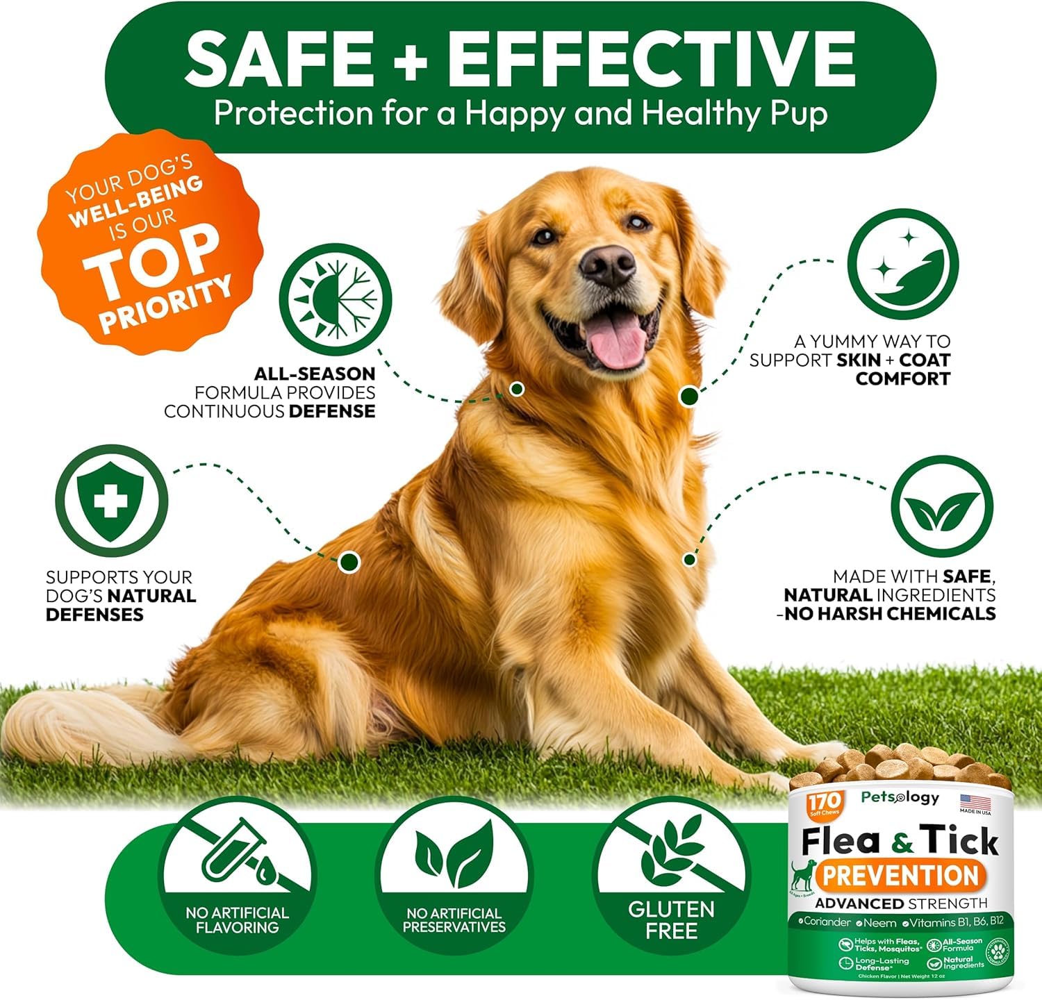 Petsology vet-formulated dog chews with trusted guidance.