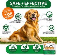 Petsology vet-formulated dog chews with trusted guidance.
