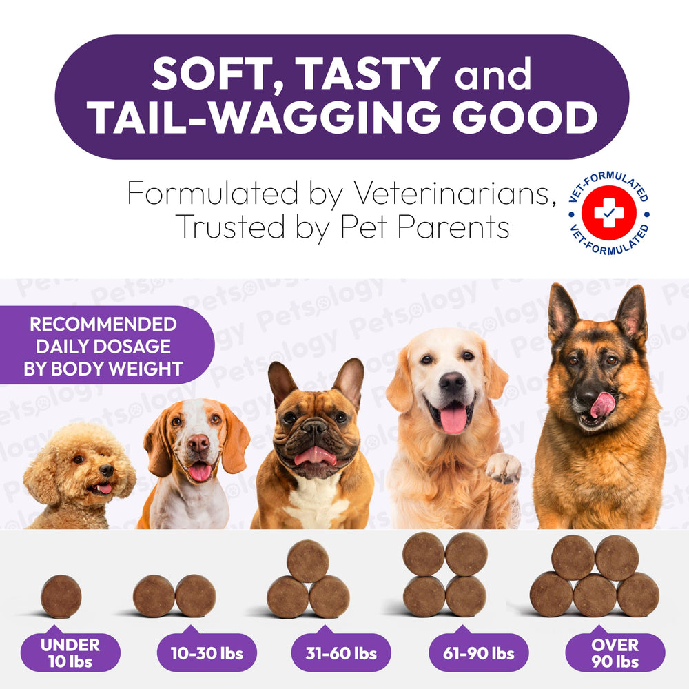 Petsology veterinarian-formulated-dog-melatonin-ingredients highlights premium natural calming nutrients.