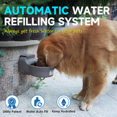 PETSOLON 68 oz water bowl capacity suitable for multiple pets outdoors