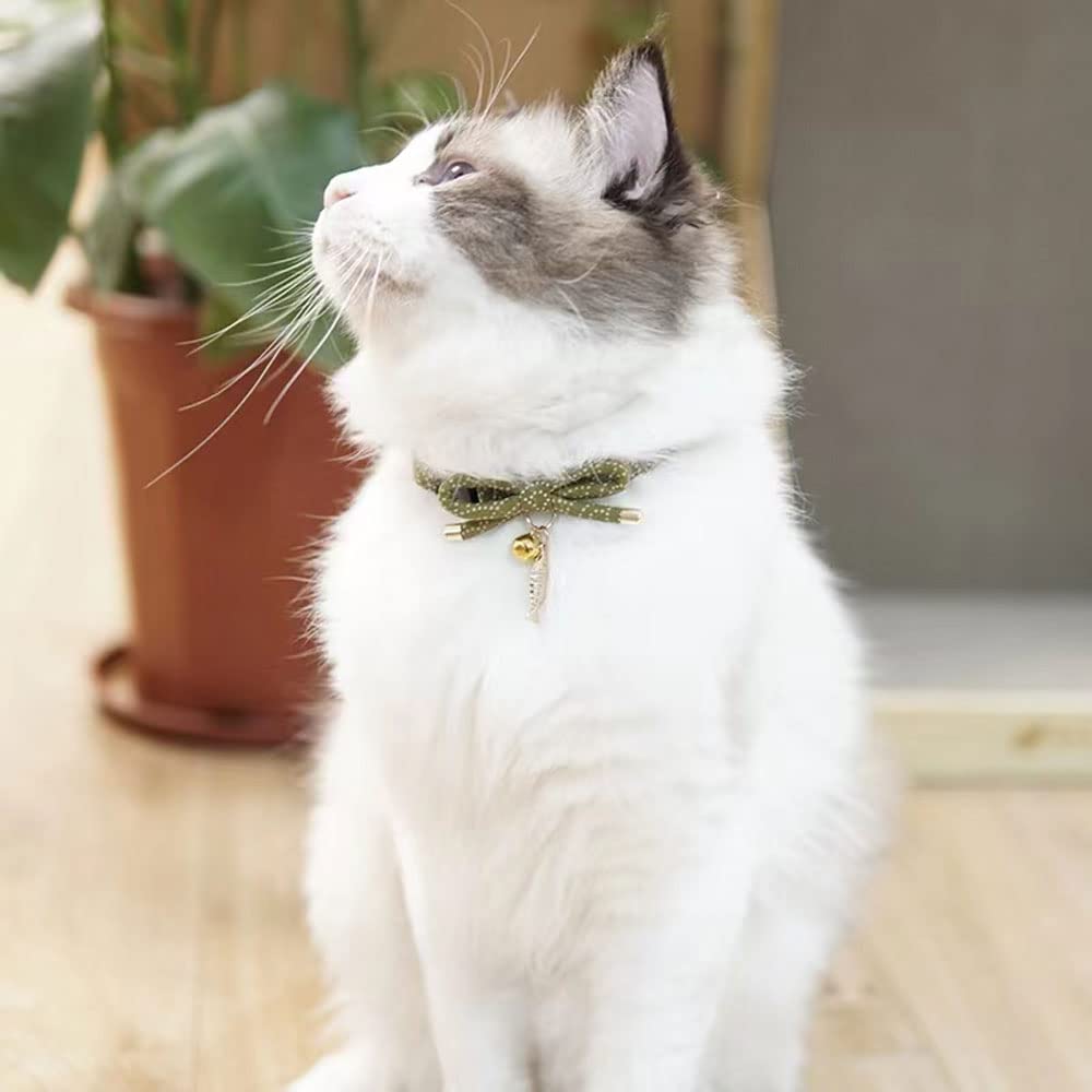 PetSoKoo collar ligero y suave, cómodo para gatitos y felinos jóvenes.