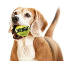 PetSport Jr Tuff Ball 1-8 inch size side view shows paw-friendly toy for small dogs.
