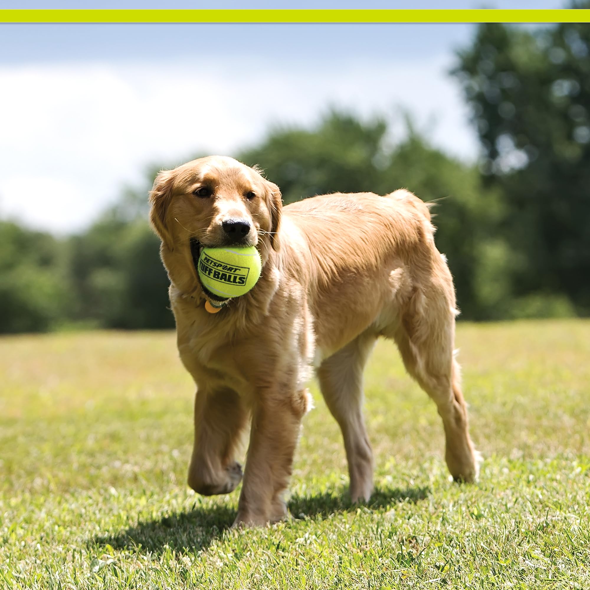 PetSport USA giant tuff ball close-up shows extra thick natural rubber walls.
