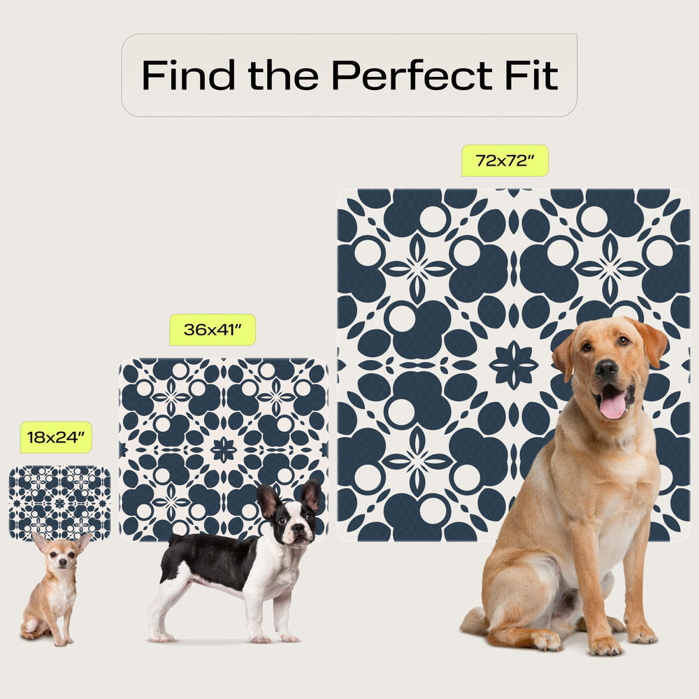 PetSpy 2-pack quick-absorption layer demonstrates odor-controlling performance during use.