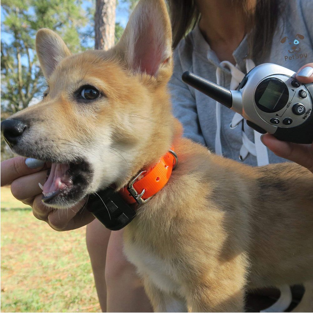 PetSpy M86-2 gray design collar blends with gear during daily training.