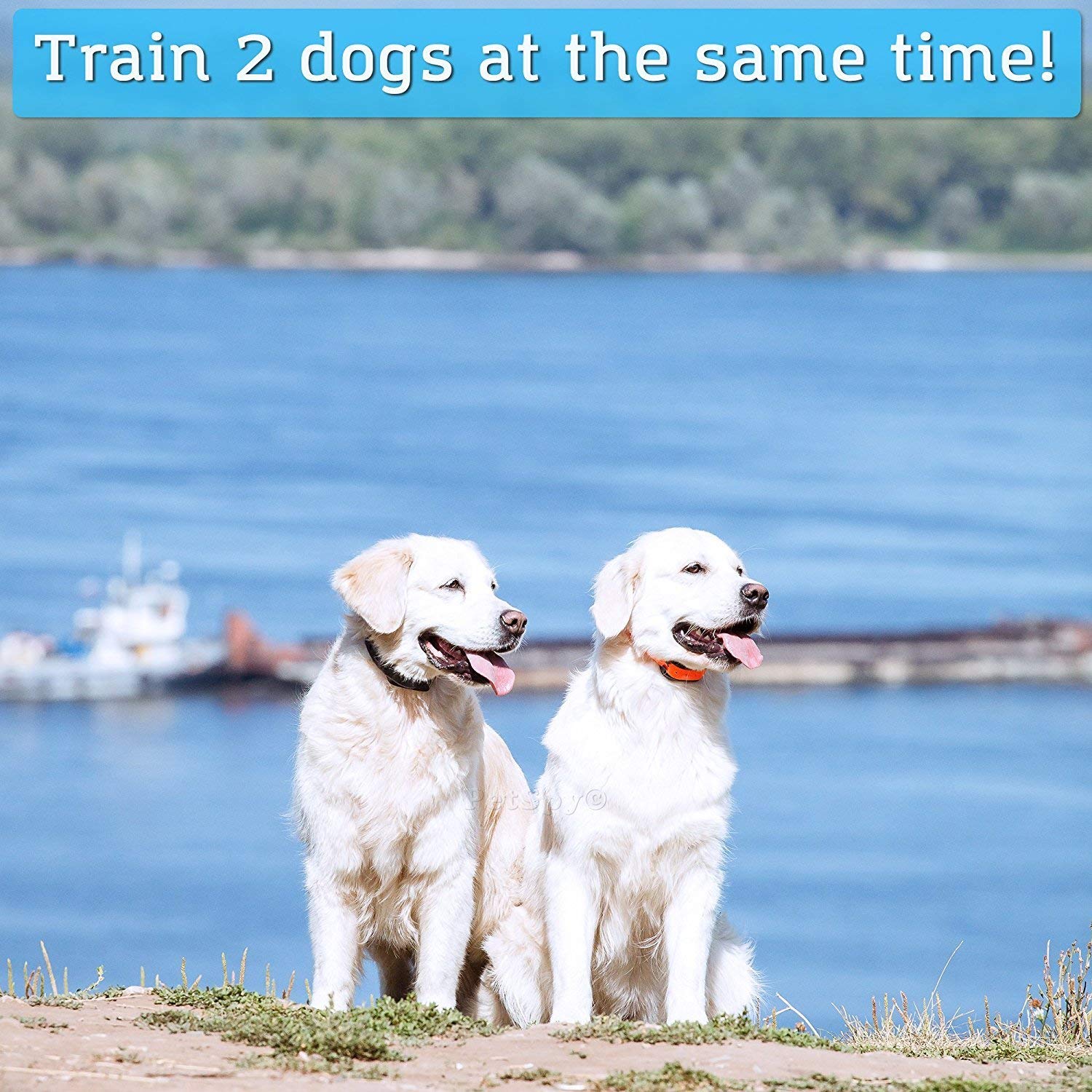PetSpy M86-2 remote transmitter close-up demonstrates easy control and long-range capability.