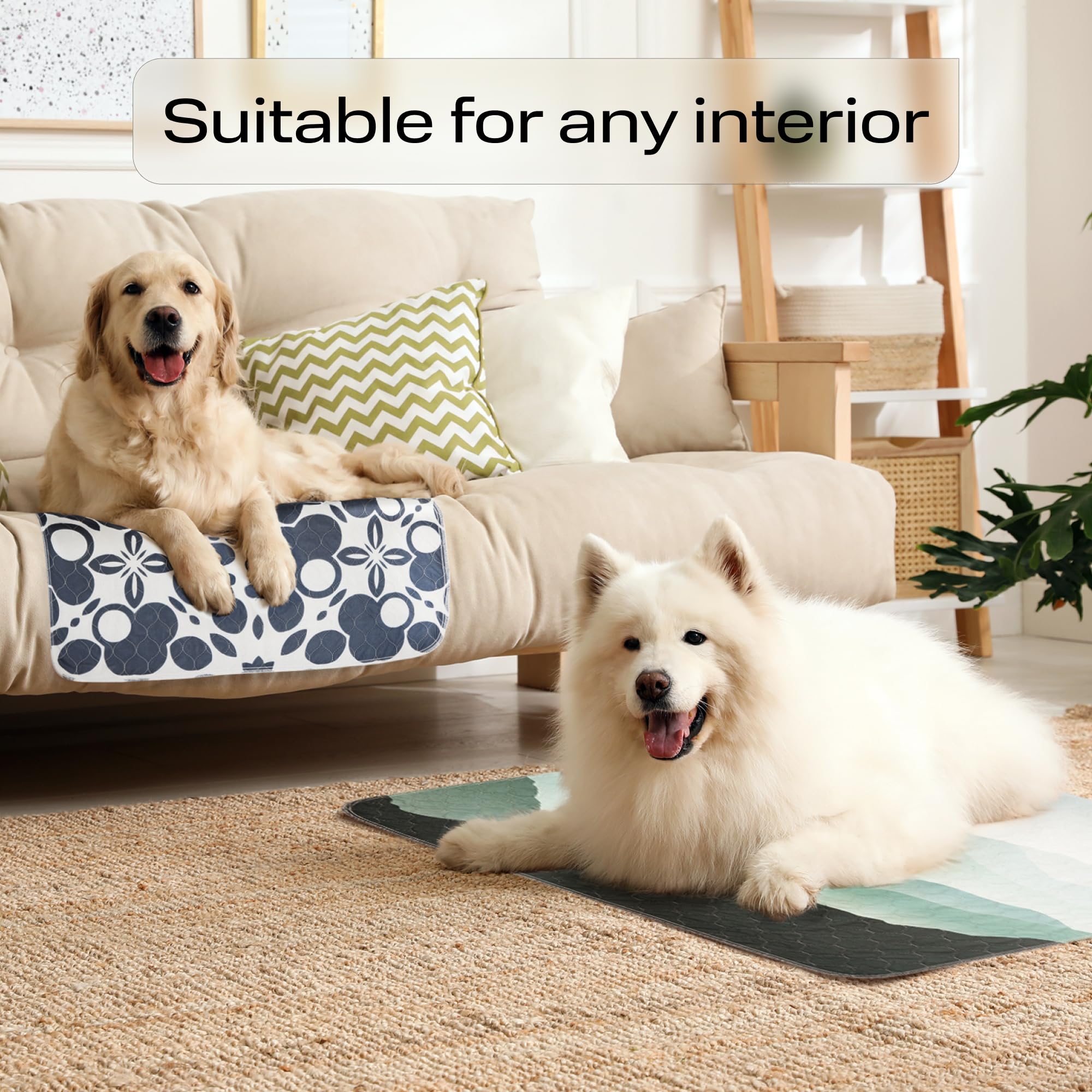 PetSpy corner-edge close-up illustrates secure fit and non-slip grip.