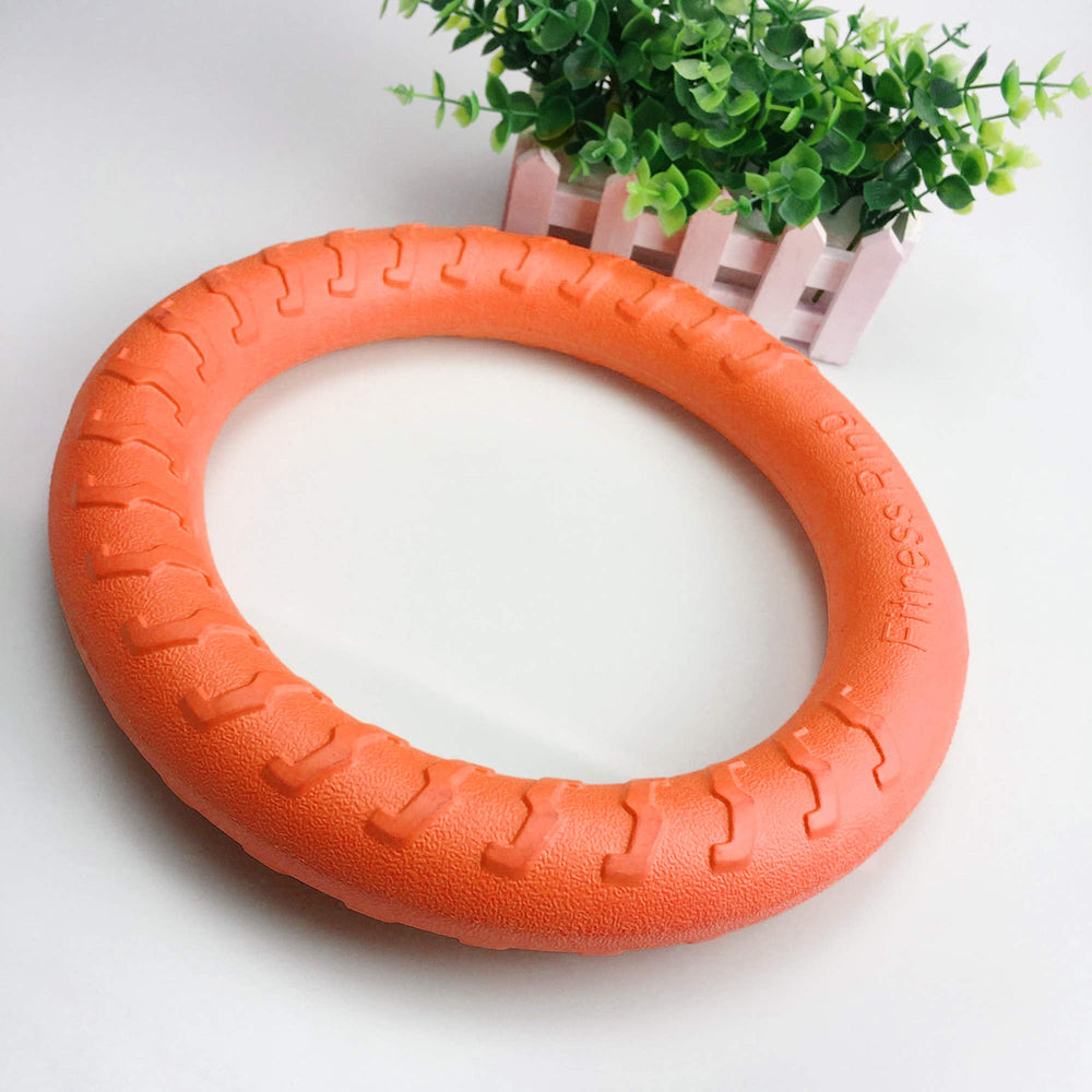 PetSpy ring toy small size fits puppies and smaller breeds for training.