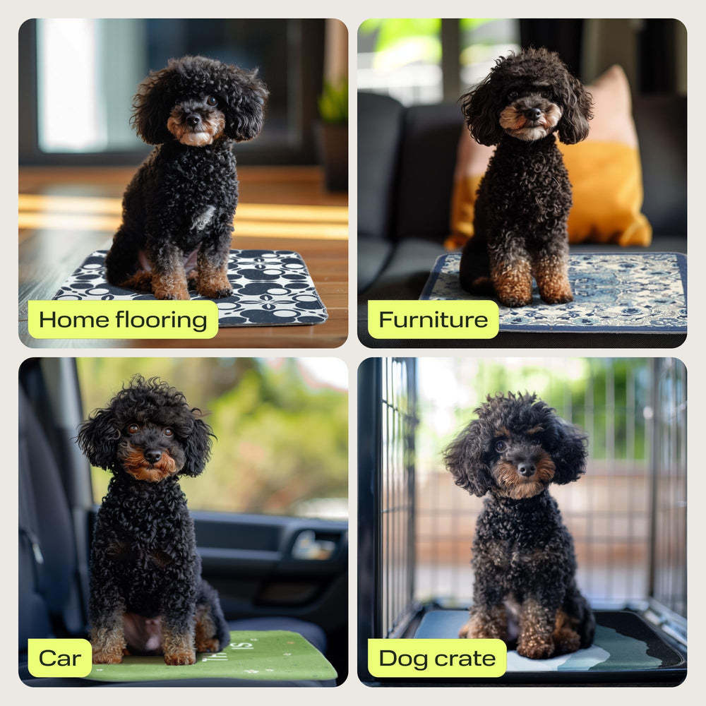 PetSpy waterproof backing image shows leakage protection across rooms.