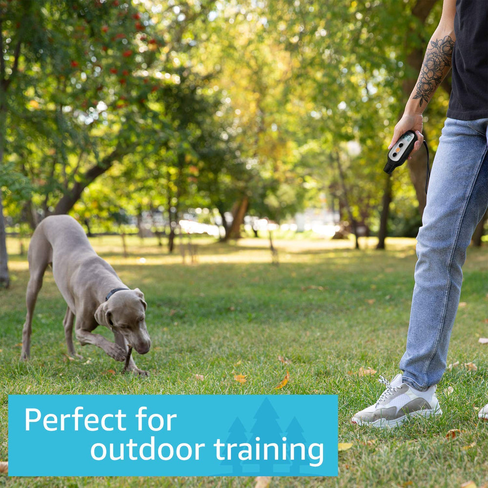 PetSpy XPro 3 waterproof collar ready for beach or pool training.