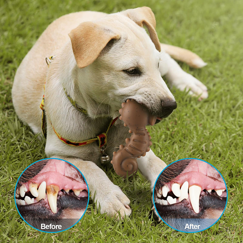 PETSTA paw-friendly grip design makes picking up and chewing easier for dogs.