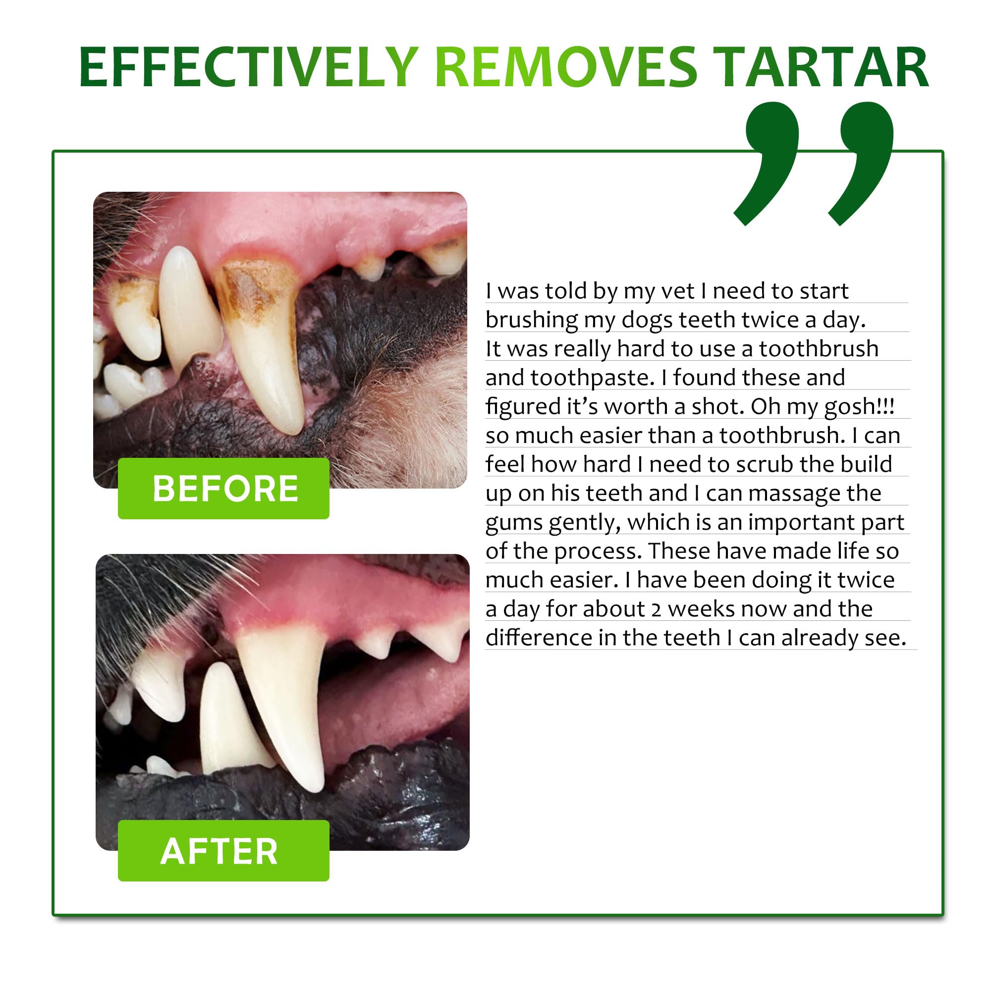 Petstoral Dental Care Wipes container open, ready for quick pet oral care sessions