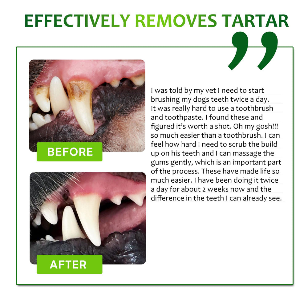 Petstoral Dental Care Wipes container open, ready for quick pet oral care sessions