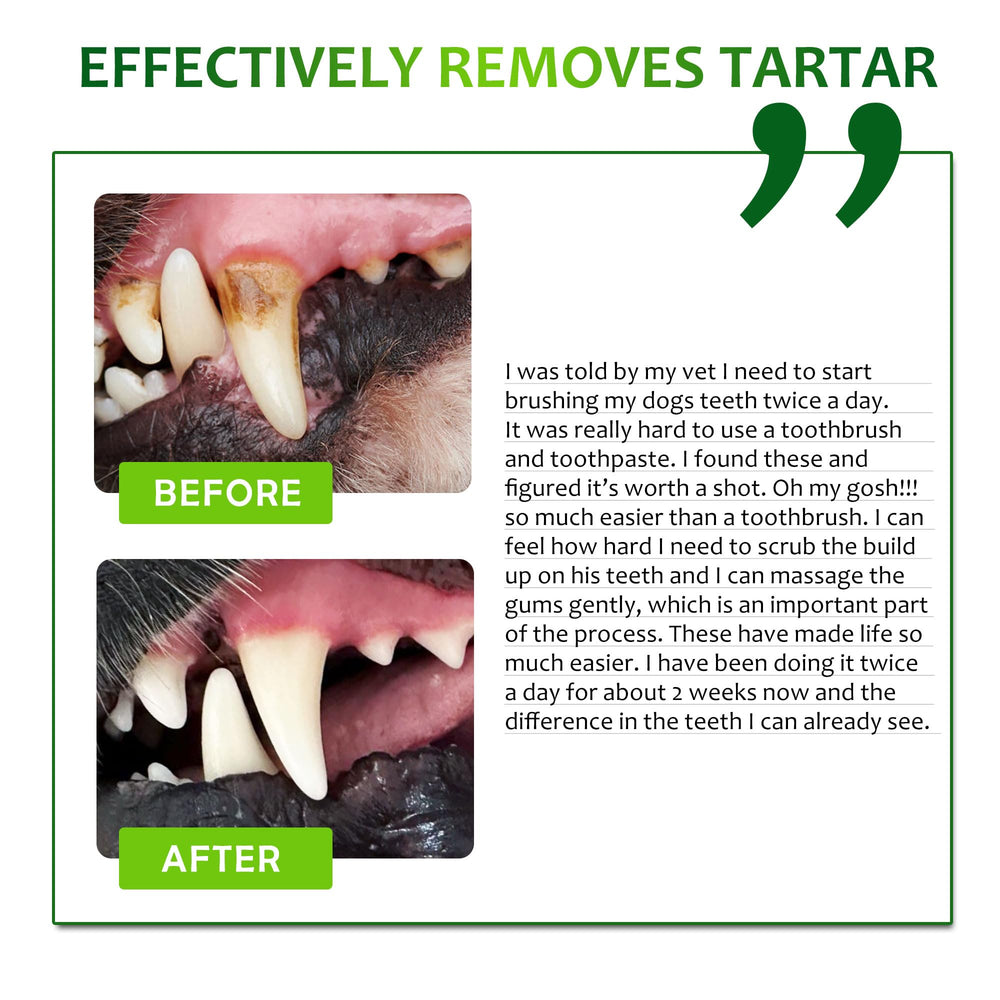 Petstoral dental care wipes packaging display for easy storage during routines