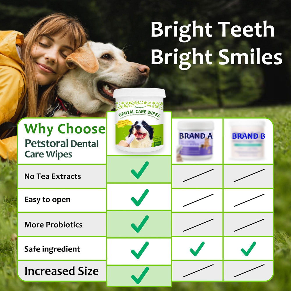 Petstoral dental care wipes pet grooming session showing stress-free cleaning
