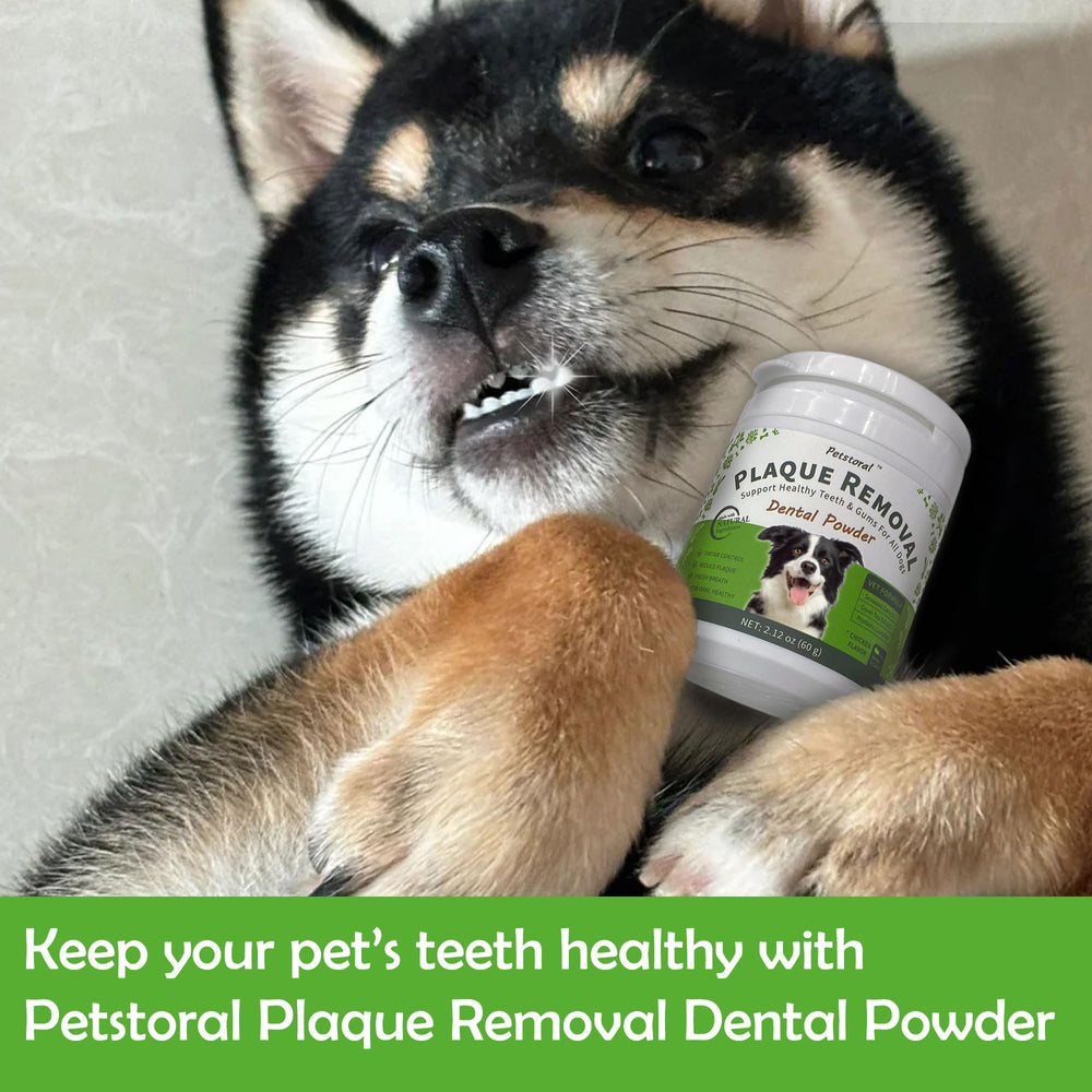 Petstoral dog and cat dental powder for versatile home dental care.