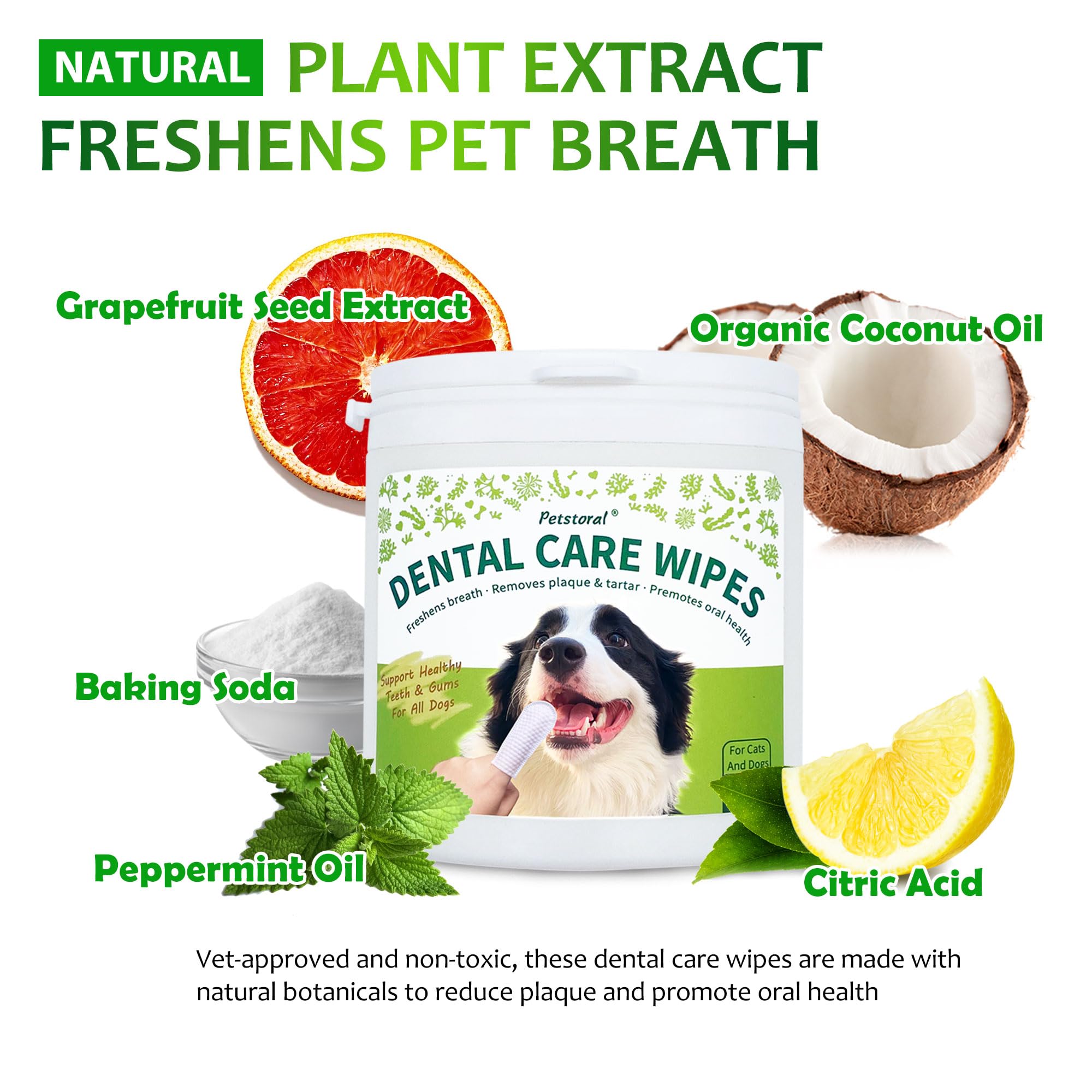 Petstoral vet-formula pet-oral-care supports at-home dental routines.