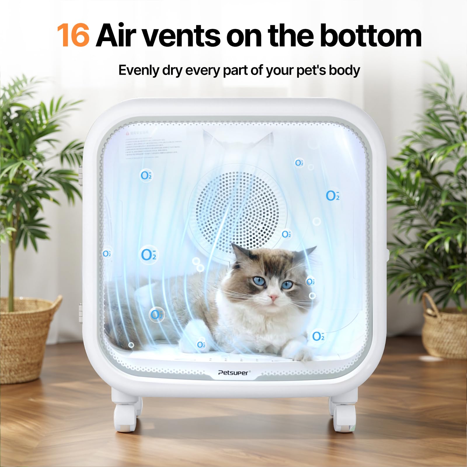 Petsuper 75L curved glass door provides clear view during drying.
