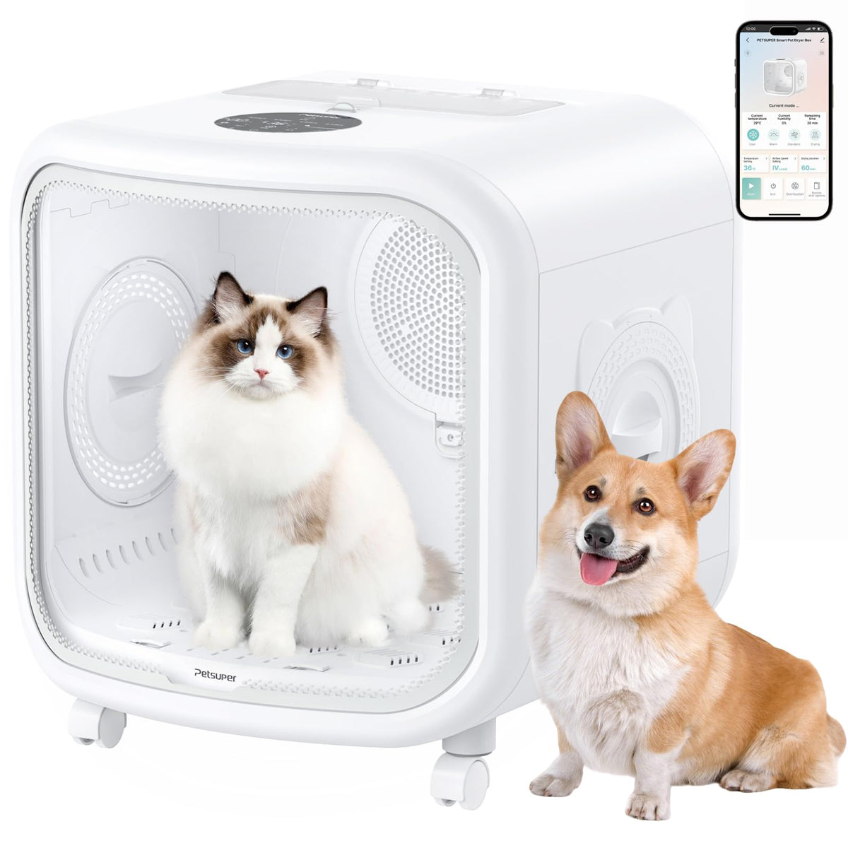 Petsuper 75L dryer box front view shows spacious multi-pet chamber.