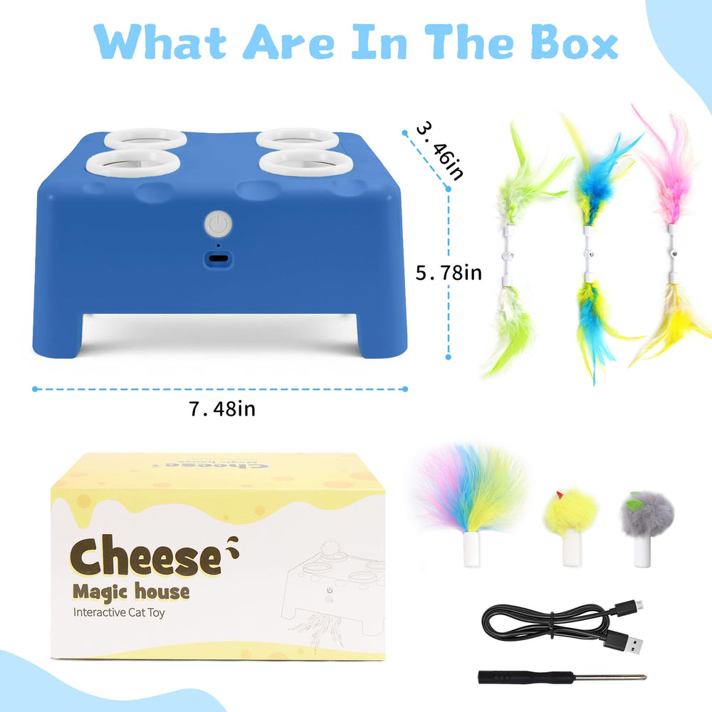 PETSWEET cheese-box style blue toy for kittens and cats to explore safely