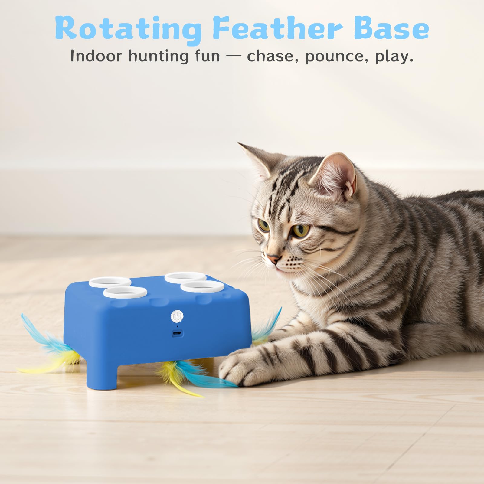PETSWEET feathers attachment blue close-up for chase