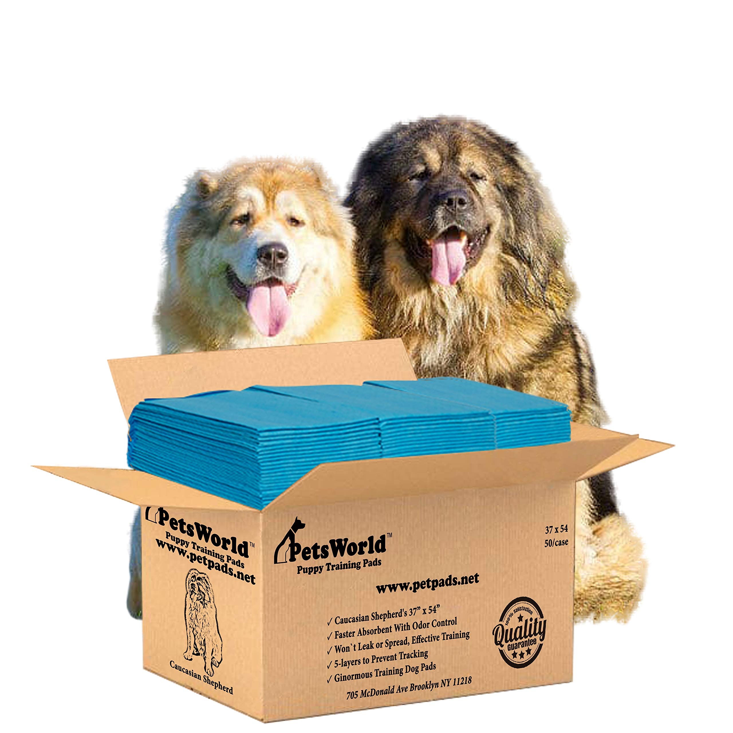 PETSWORLD enormous dog training pad 37x54 in use supports large dogs during house training.
