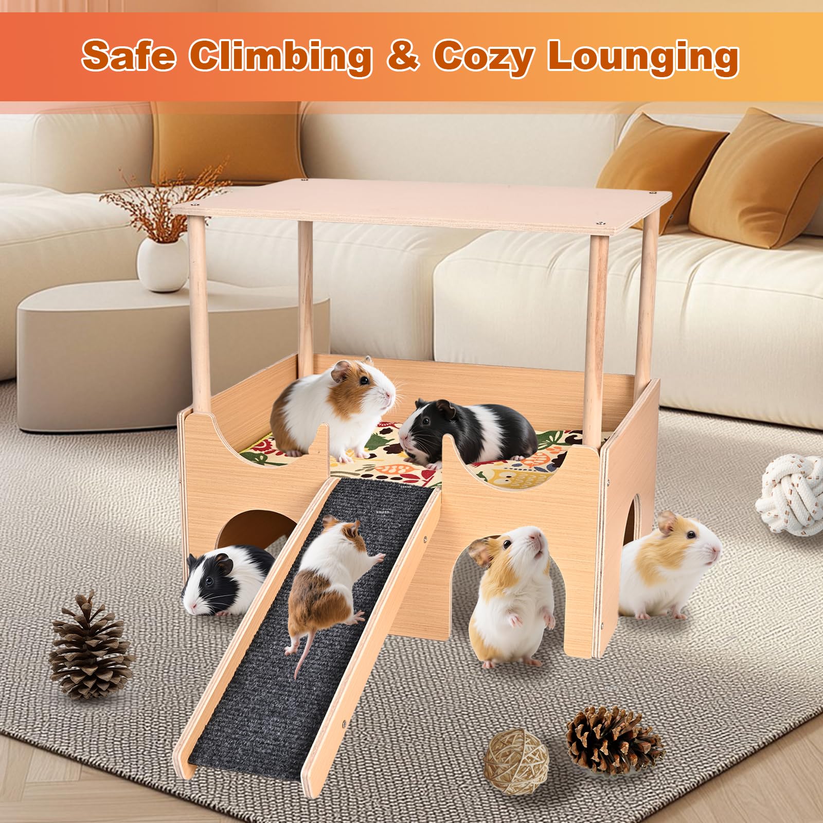 PETTDATE double-sided mat removable for easy cleaning
