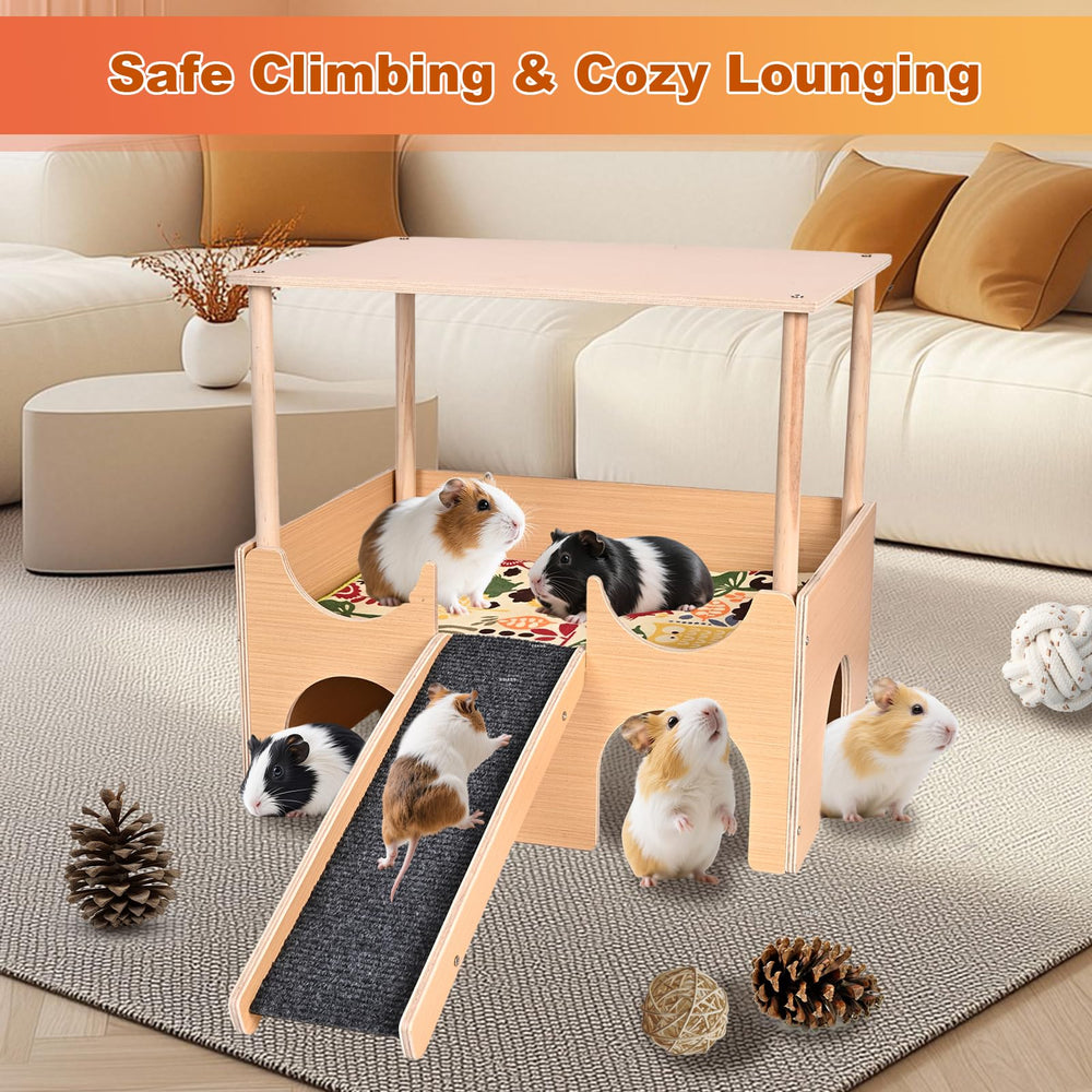 PETTDATE double-sided mat removable for easy cleaning
