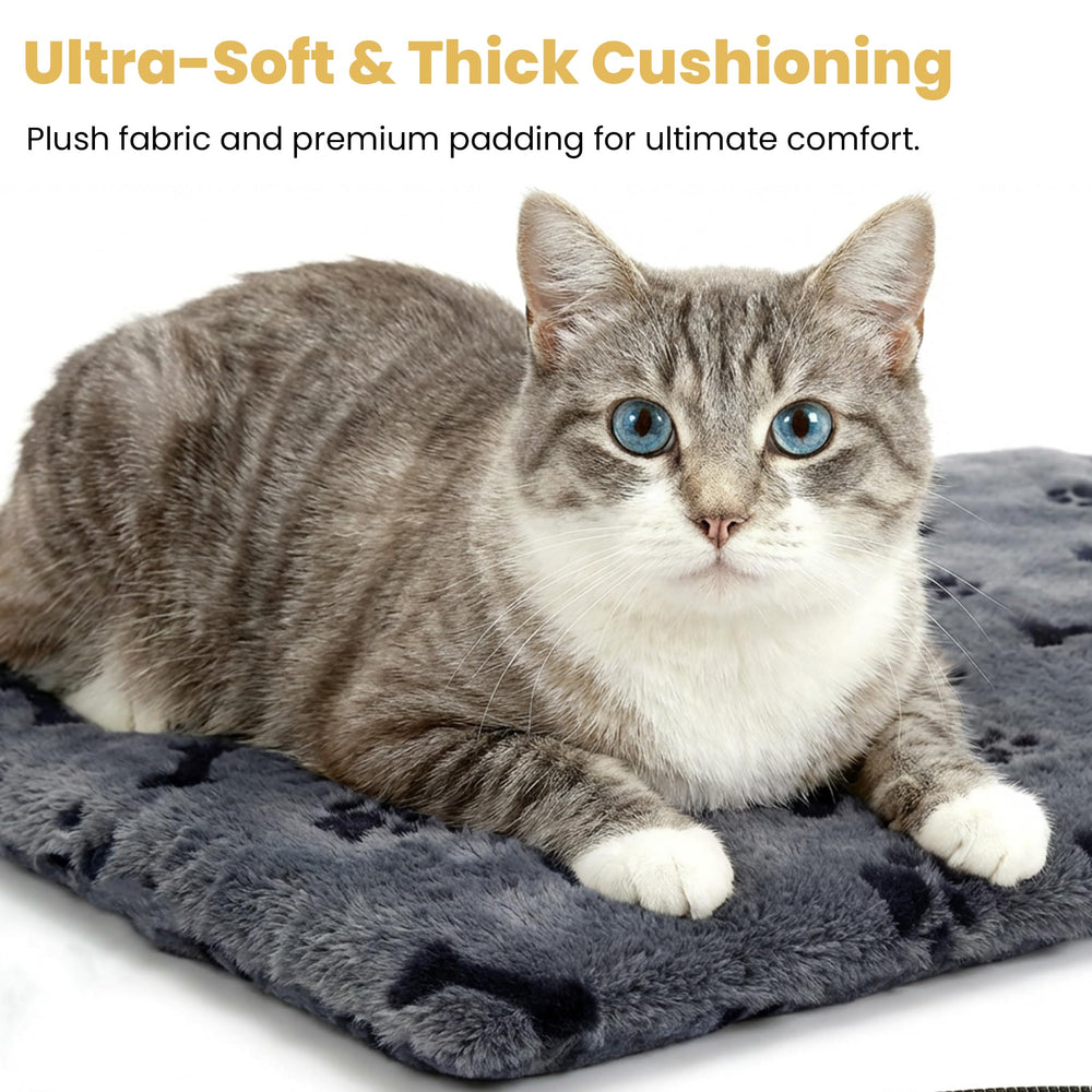 PetTemp MET-safety-certified pad emphasizes trusted, safe heating for pets