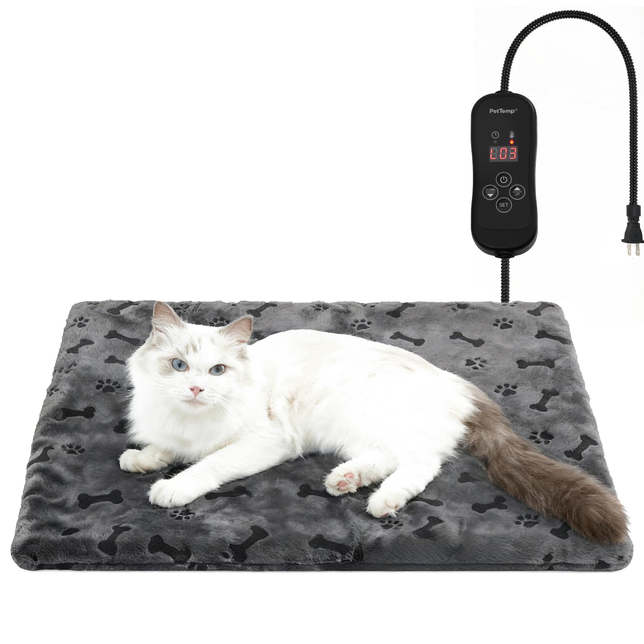 PetTemp heating pad in a cozy living room showing pet warmth and comfort