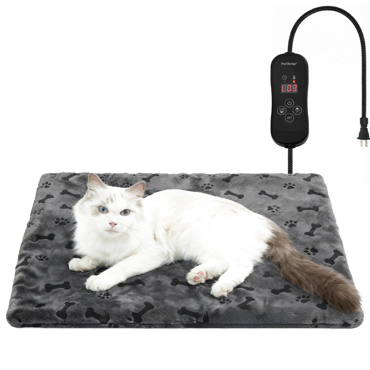 PetTemp heating pad in a cozy living room showing pet warmth and comfort