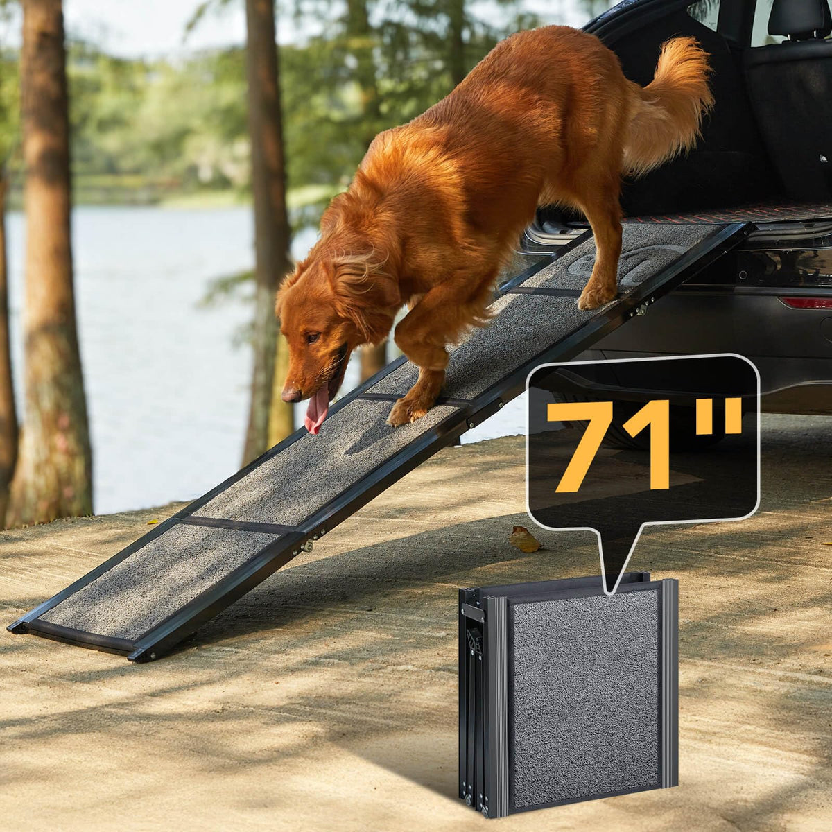 PetThem dog ramp 71-inch length extended for gentle joint-friendly vehicle access.