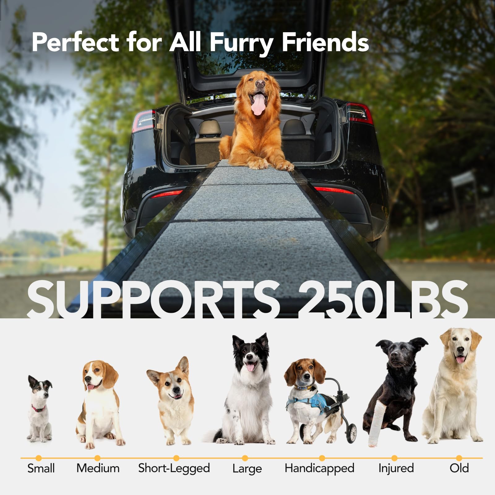 PetThem dog ramp features an anti-slip paw grip for better traction.
