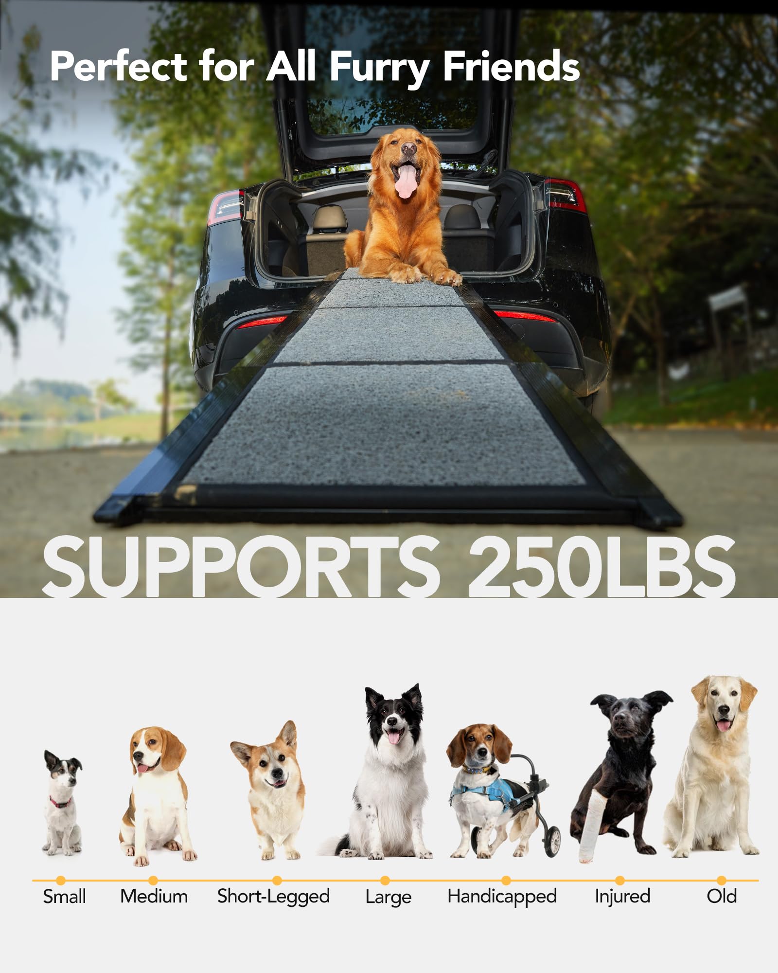 PetThem dog ramp portable with carrying handle