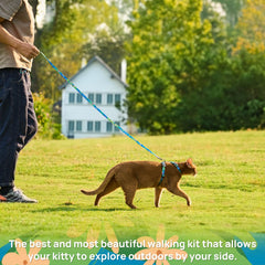 PetThem Hawaii Green cat harness worn in sunlight for bright daytime visibility.