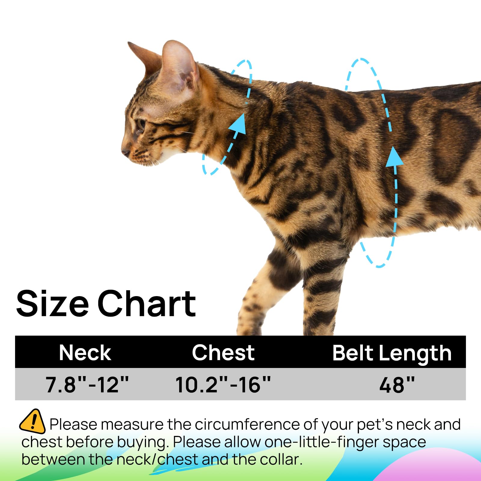 PetThem travel kit cat harness ready for trips and daily adventures.