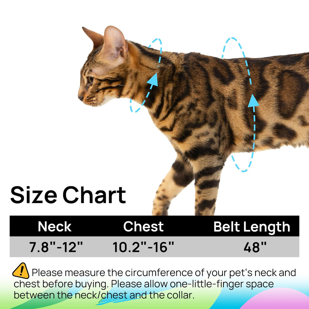 PetThem travel kit cat harness ready for trips and daily adventures.