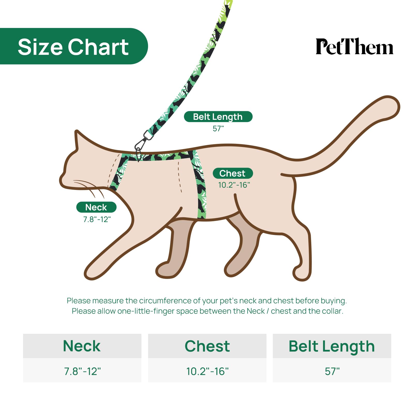 PetThem walking kit demonstrates secure harness and leash for confident outings.