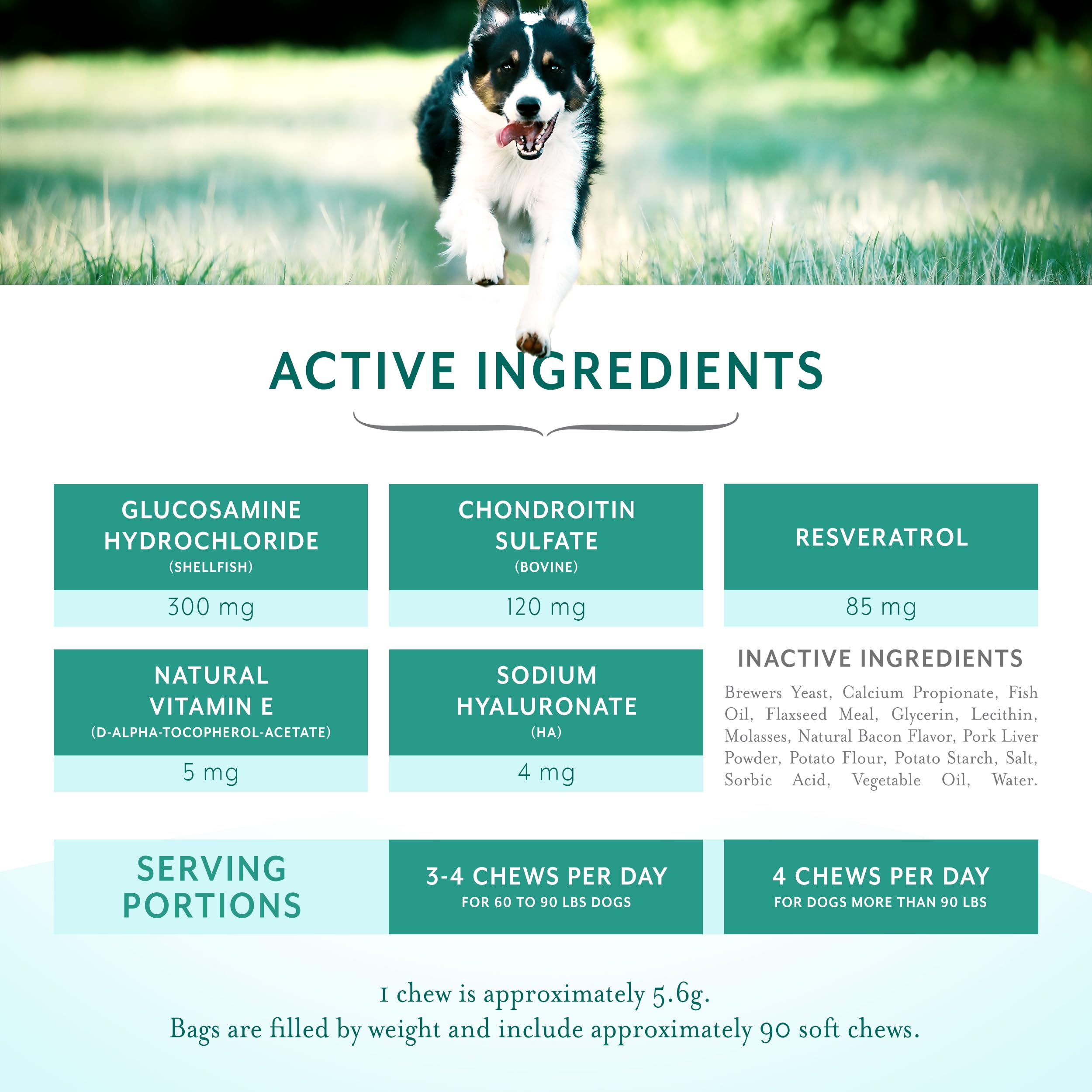 PetThrive dog-friendly chews shown with a dog in action illustrating mobility support.