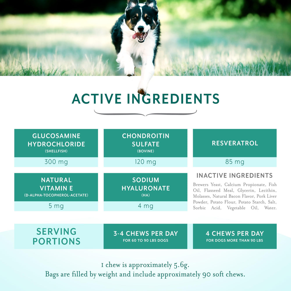 PetThrive dog-friendly chews shown with a dog in action illustrating mobility support.