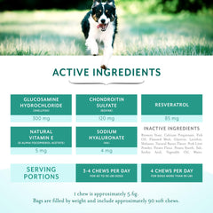 PetThrive dog-friendly chews shown with a dog in action illustrating mobility support.