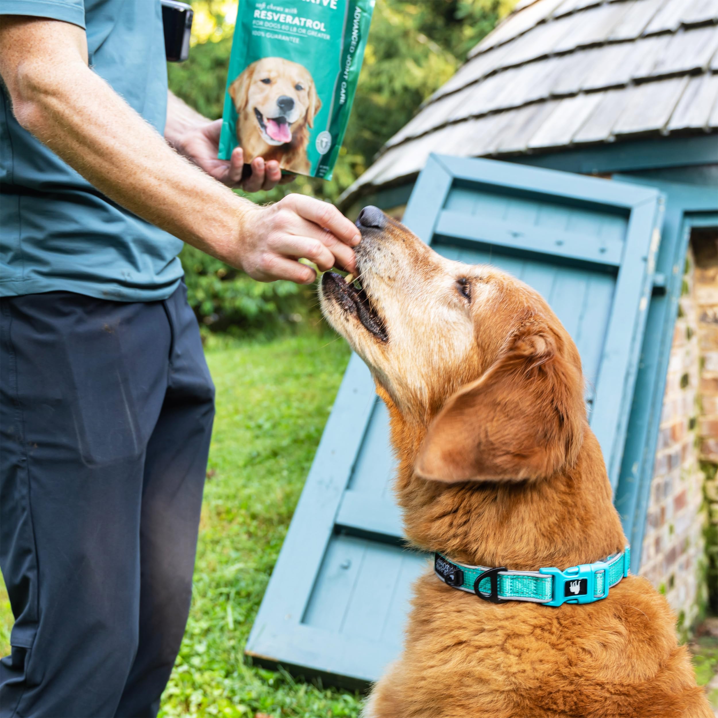 PetThrive large-breed packaging image displays generous chews for bigger dogs' joint care.
