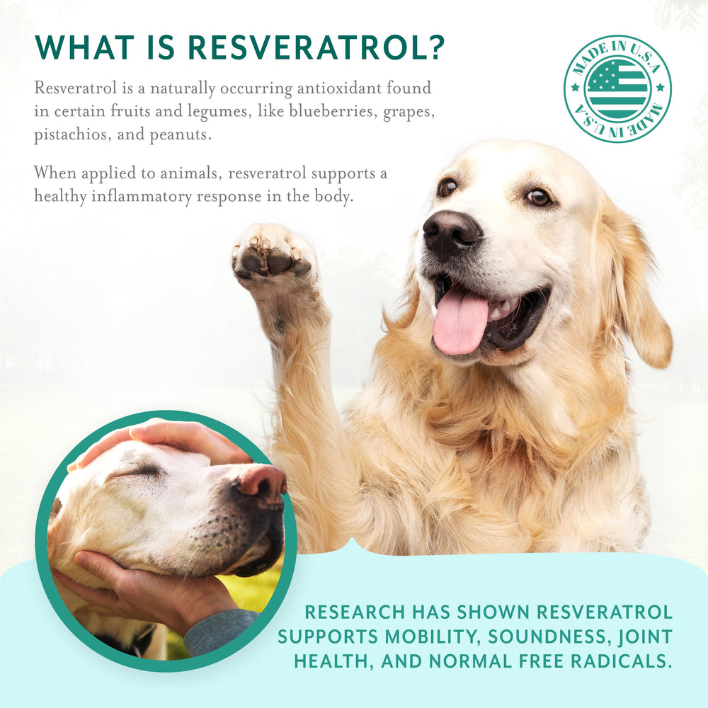 PetThrive resveratrol ingredient highlighted on label implying antioxidant support for aging dogs.