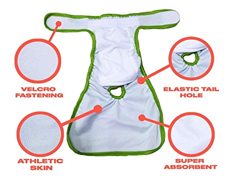 PETTING IS CARING diaper Velcro closure demonstrates fast adjustments