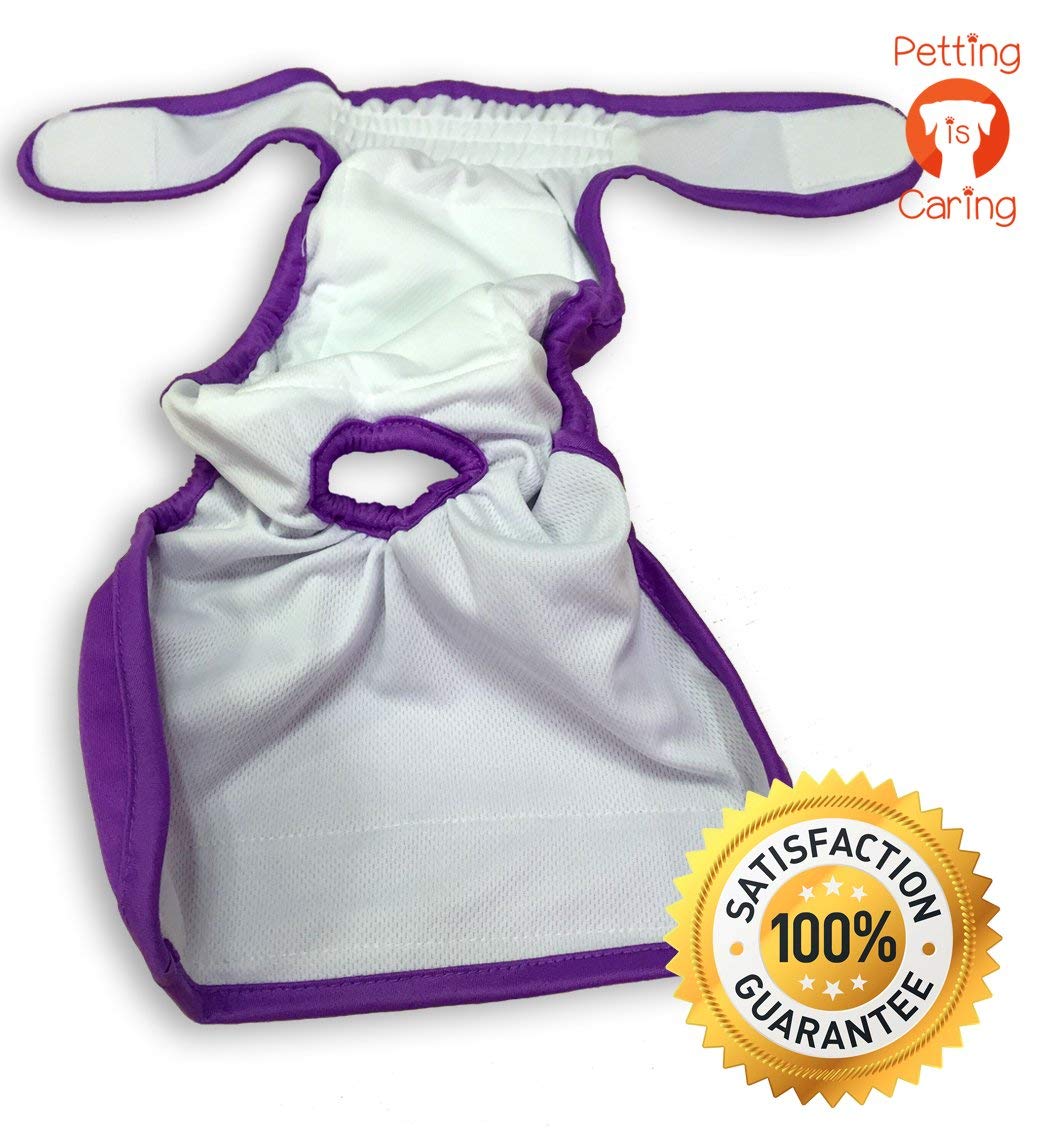 PETTING IS CARING diapers three-pack display highlights value