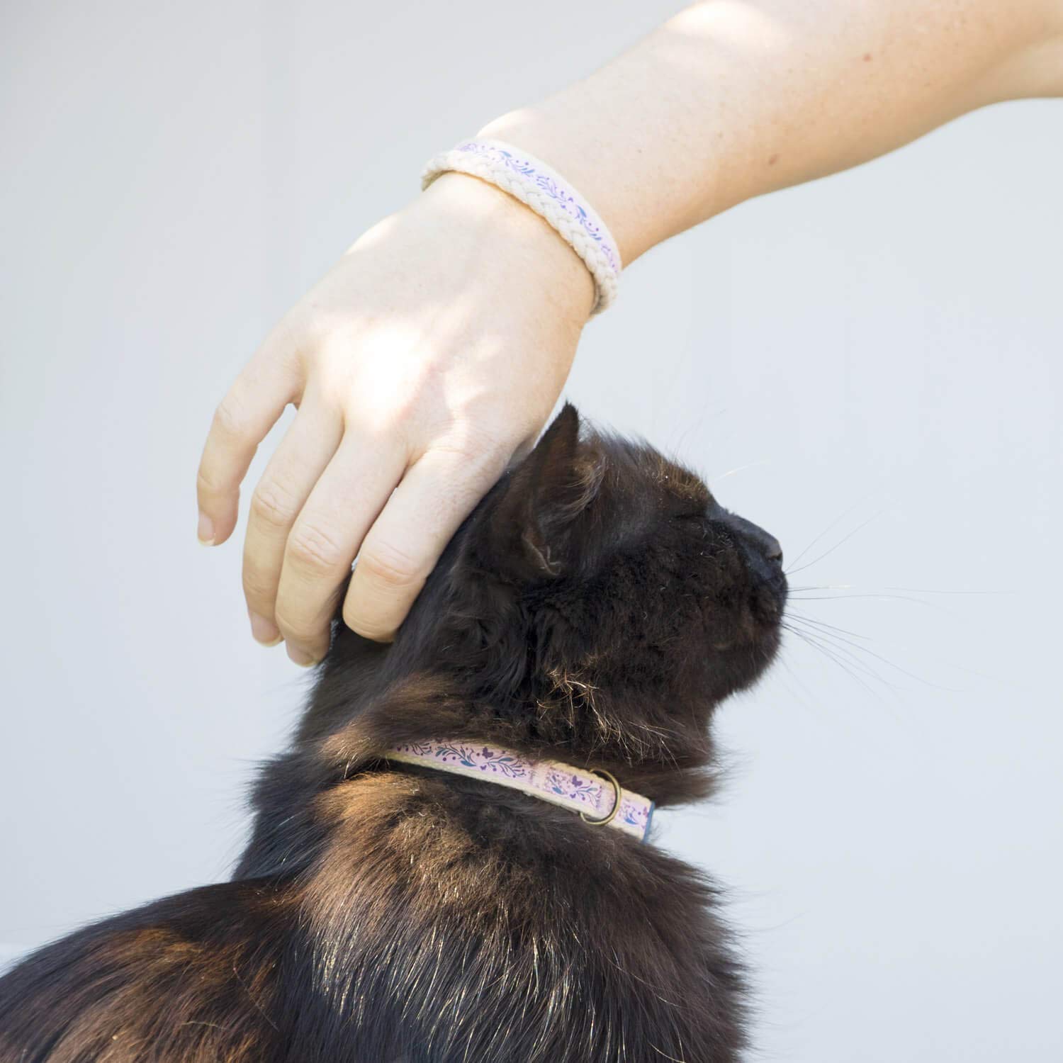 Pettsie purple friendship bracelet matching collar for bond