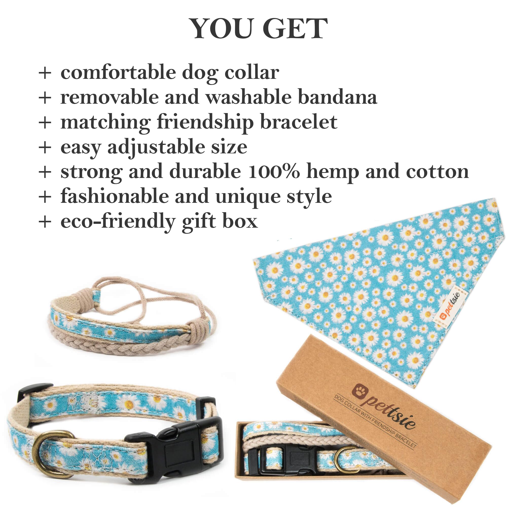 Pettsie dog fashion photoshoot with turquoise accessory enhances outfit appeal.