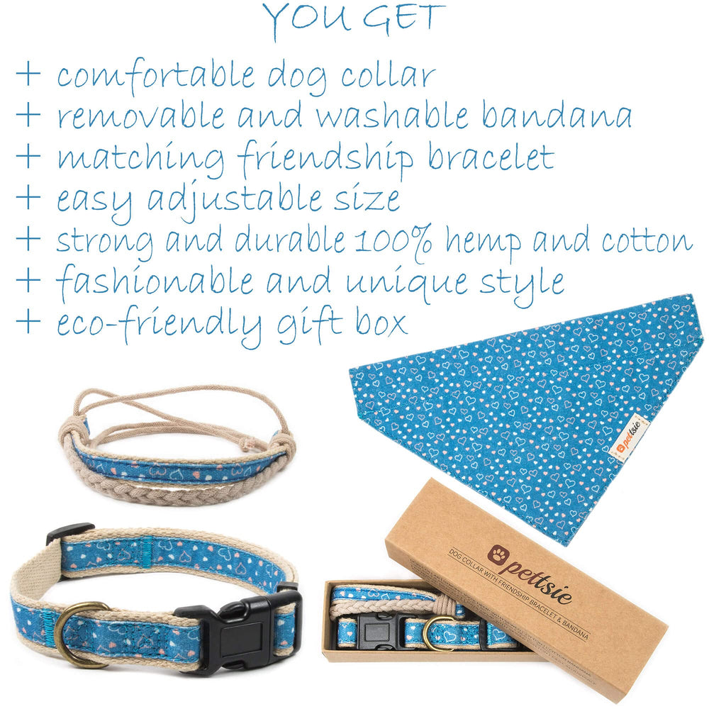 Pettsie dog wearing bandana blue on a walk highlights everyday charm.