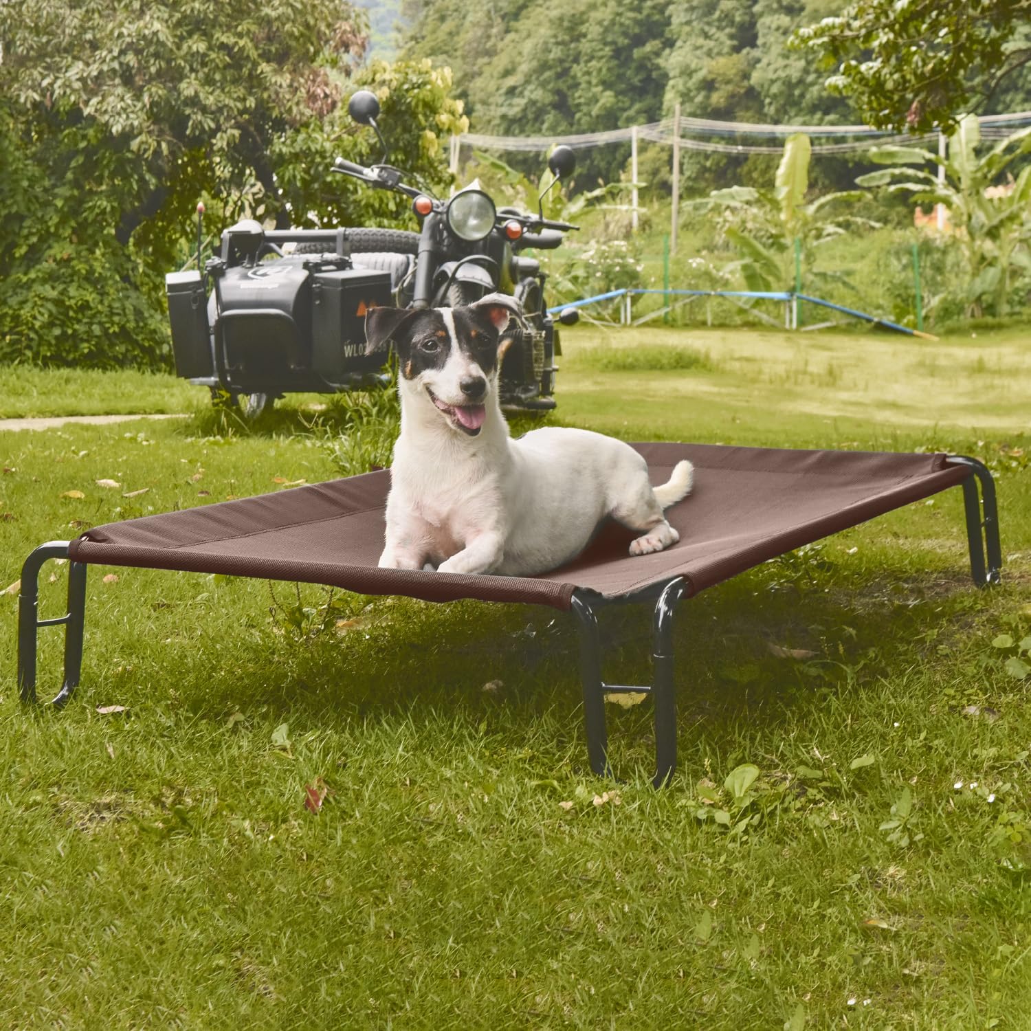 Pettycare bed supports up to 35 lbs, ideal for small dogs